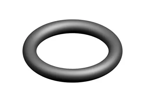 Ein schwarzer O-Ring von Bosch mit einer kreisförmigen Form und einheitlicher Dicke. Der Ring ist im Querschnitt rund und hat eine glatte Oberfläche.